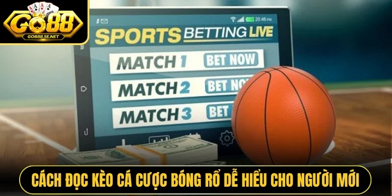 Cách đọc kèo cá cược bóng rổ dễ hiểu cho người mới