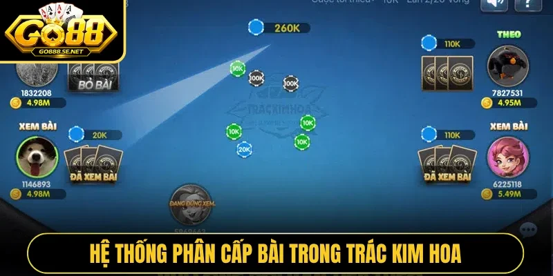 Hệ thống phân cấp bài trong Trác Kim Hoa