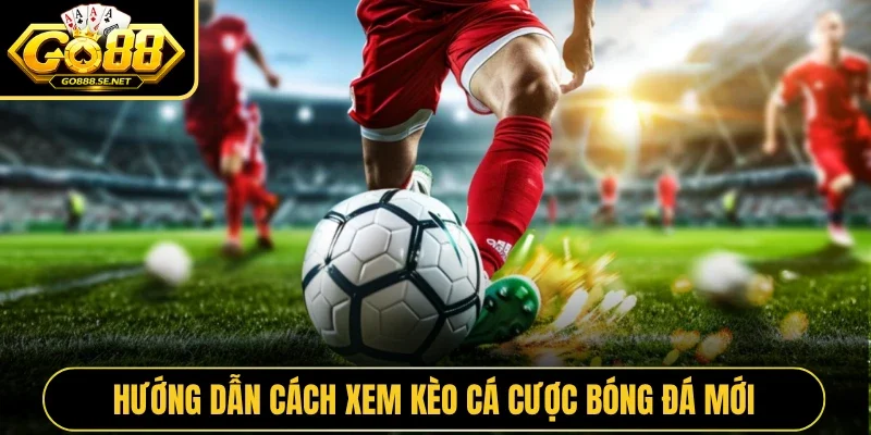Hướng dẫn cách xem kèo cá cược bóng đá mới
