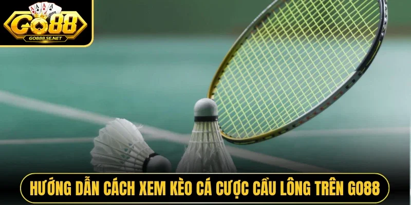 Hướng dẫn cách xem kèo cá cược cầu lông trên GO88