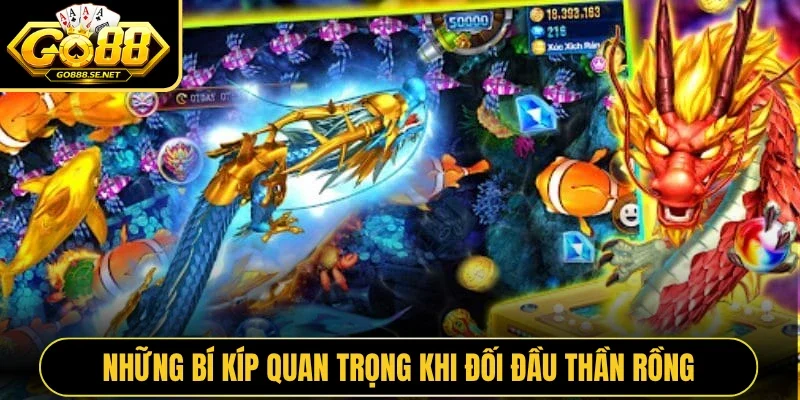 Những bí kíp quan trọng khi đối đầu thần rồng