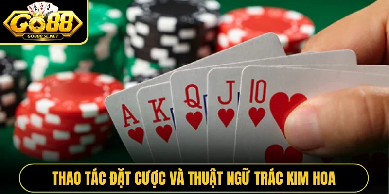 Thao tác đặt cược và thuật ngữ Trác Kim Hoa